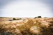 On route to Fox Tor