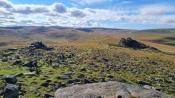 Belstone Ridge and Higher Tor