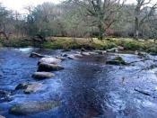 Dartmeet Stepping Stones