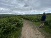 Becka Brook Valley 