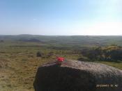 Gonk at Elephant Rock