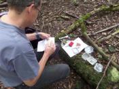 Logging the Cache