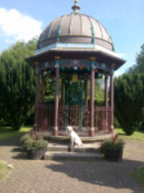 Sandy in front of the well