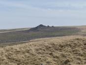 Hen Tor 