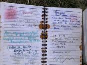 Host cache found October 2010