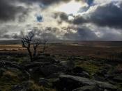 View from Crockern Tor