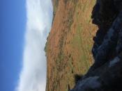 View to Hound Tor 