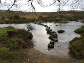 West Dart Stepping Stones