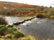 West Dart Stepping Stones