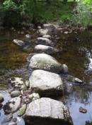 The stepping stones